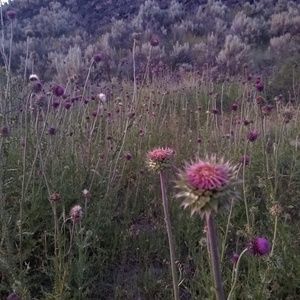 Meet your Posher, Nicholas